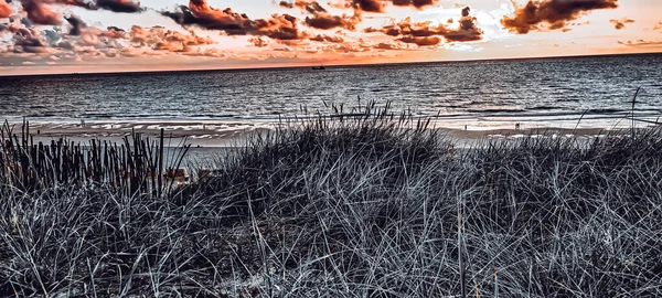 Трава Пляжі Заході Сонця — стокове фото