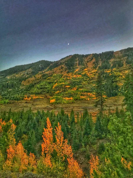Krásný Výhled Zelené Hory Třpytící Pod Noční Oblohou — Stock fotografie