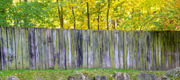 Длинный Деревянный Забор Фоне Деревьев — стоковое фото