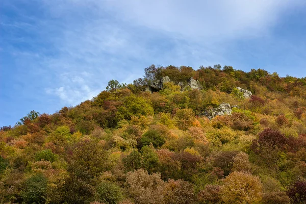 Krásný Výhled Kaňon Barevnými Hustými Podzimními Stromy Pod Zataženou Oblohou — Stock fotografie