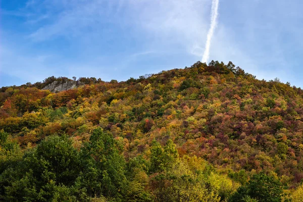 Красивый Вид Каньон Цветными Густыми Осенними Деревьями Облачным Небом Недалеко — стоковое фото