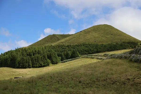 青空の下の緑の丘の風景 — ストック写真