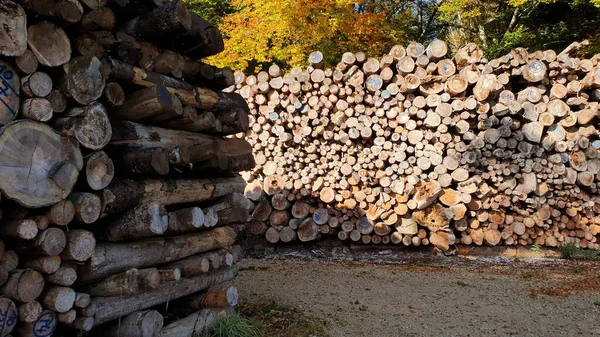 Eine Gasse Durch Einen Holzzaun Aus Holz Einem Herbsttag — Stockfoto