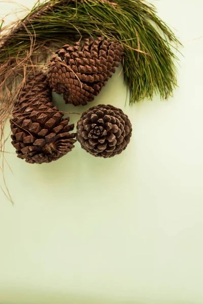 Closeup Shot Bunch Cones Isolated White Background — Stock Photo, Image