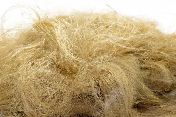 Zbliżenie Ujęcia Blond Odpadów Włosów — Zdjęcie stockowe