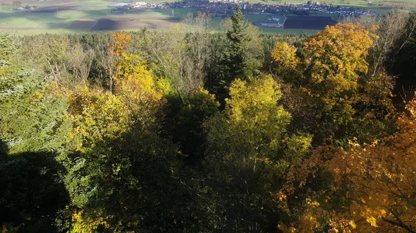 Une Vue Aérienne Cime Des Arbres Dans Feuillage Vert Jaune — Photo