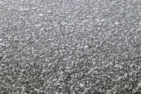 冬の間の地面を覆う新雪 — ストック写真