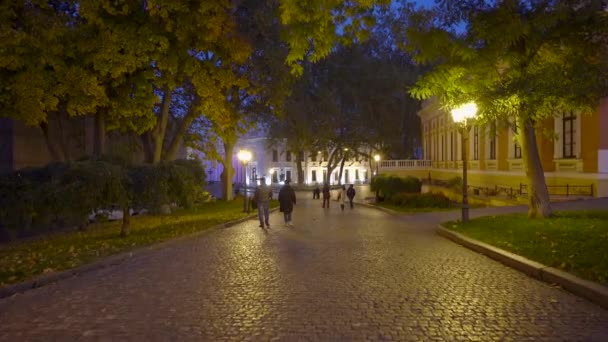 Imágenes Calle Ciudad — Vídeo de stock