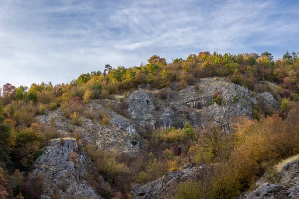 Een Prachtig Uitzicht Een Canyon Met Kleurrijke Herfstbomen Bovenop Onder — Stockfoto