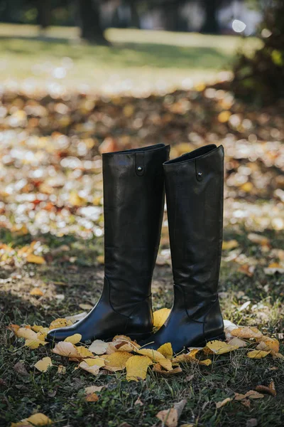 Een Verticaal Shot Van Zwarte Modieuze Laarzen Herfstbladeren Grond Gevallen — Stockfoto
