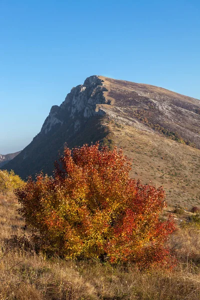 Une Vue Automne Couper Souffle Sommet Trem Sur Montagne Sèche — Photo