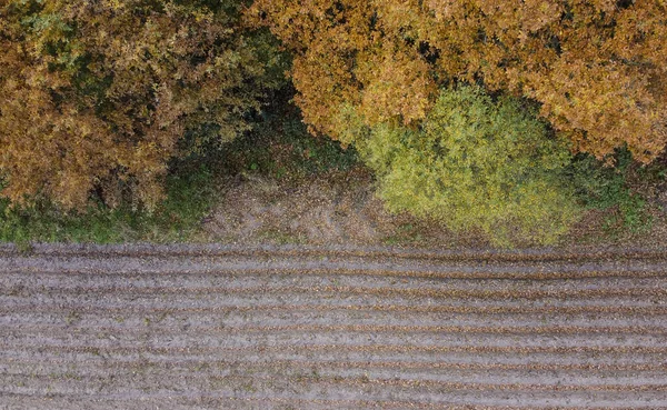 Una Vista Aérea Campo Cultivado Rodeado Verdes —  Fotos de Stock