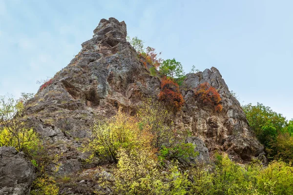 Gyönyörű Kilátás Nyílik Kanyonra Gradasnicka Folyóra Színes Őszi Fákkal Pirot — Stock Fotó