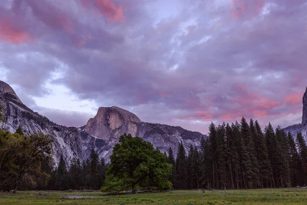 Widok Yosemite National Park Yosemite Dolina Stany Zjednoczone — Zdjęcie stockowe