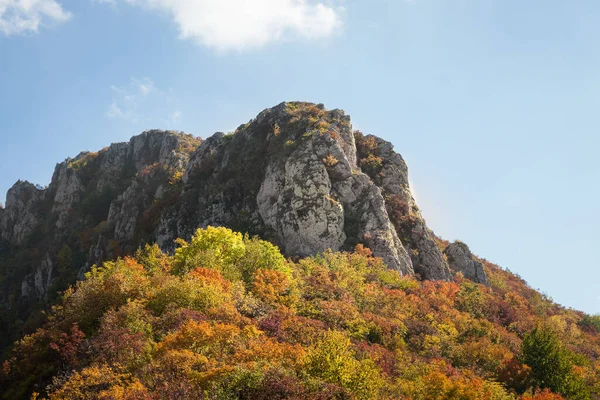 Impressionante Pico Rochoso Coberto Por Arbustos Coloridos Contra Céu Montanha — Fotografia de Stock