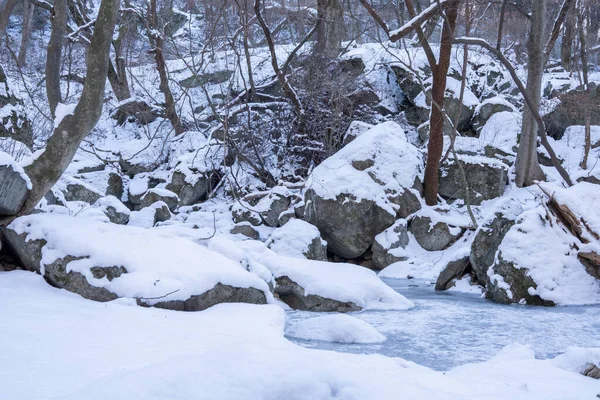 白色雪地森林的美丽景色 — 图库照片