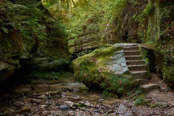 Belo Tiro Escadas Pedra Floresta Luxemburgo — Fotografia de Stock
