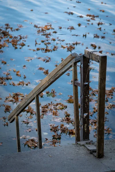 Tiro Ângulo Alto Grupo Folhas Superfície Lago Durante Dia — Fotografia de Stock