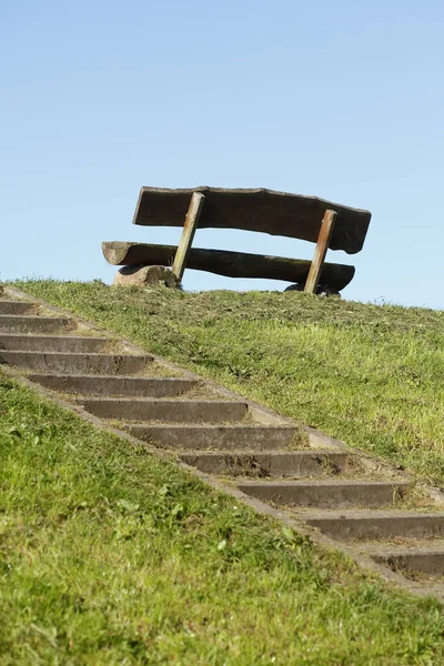 Egy Függőleges Felvétel Régi Kőlépcsőről Egy Pad Parkban Németország — Stock Fotó