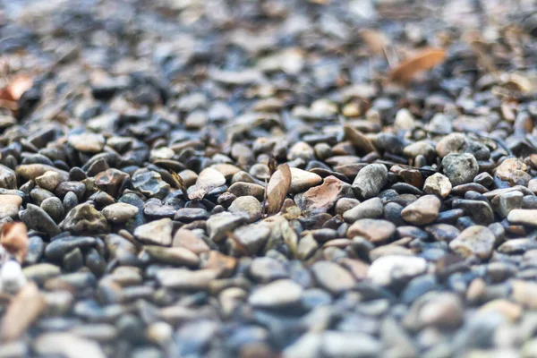 Μια Υφή Από Βότσαλα Μικρά Βράχια Στο Έδαφος — Φωτογραφία Αρχείου