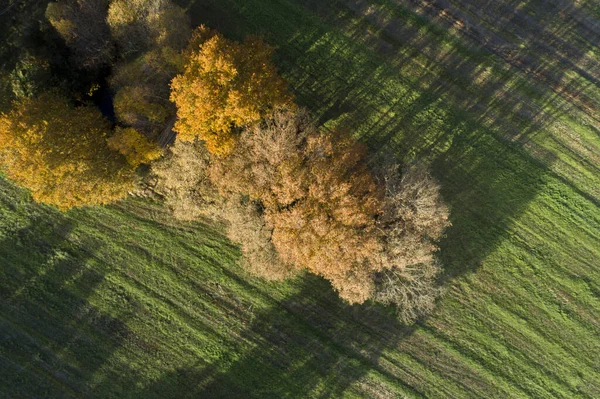 Una Vista Aérea Campo Cultivado Rodeado Verdes — Foto de Stock