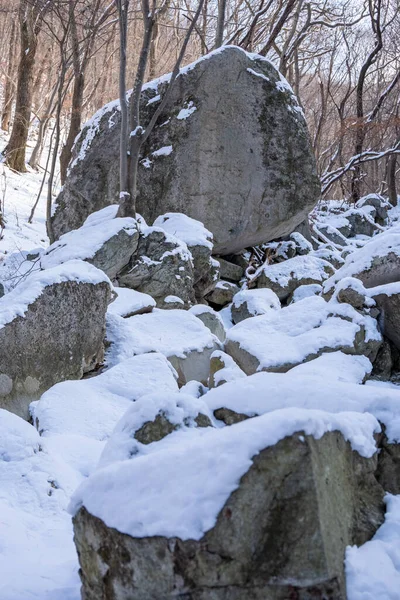 森林里被雪覆盖的巨大岩石构成的屏障 — 图库照片