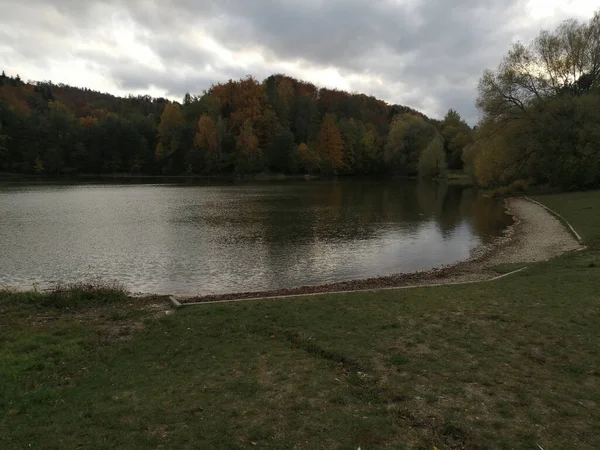 Uma Bela Foto Cena Lago Floresta — Fotografia de Stock