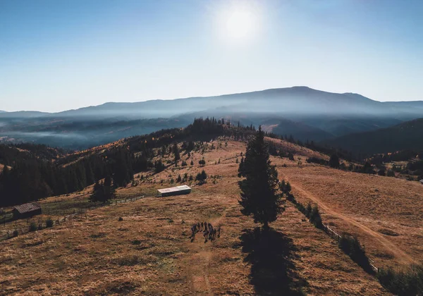 Tiro Aéreo Grupo Pessoas Solo Seco Sobre Uma Montanha — Fotografia de Stock