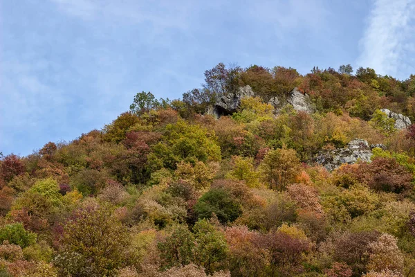 Cores Vívidas Surpreendentes Das Árvores Outono Penhasco Rochoso Cânion Perto — Fotografia de Stock