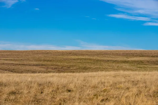 背景には乾いた草と青空が広がる美しい風景 — ストック写真