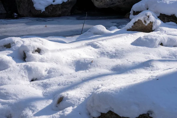 白雪の森の絶景 — ストック写真