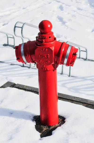 Вертикальний Постріл Пожежного Гідранта Засніженій Зоні — стокове фото