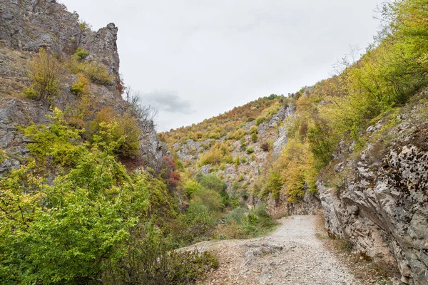 Caminho Desfiladeiro Sobre Rio Gradasnicka Com Árvores Coloridas Outono Perto — Fotografia de Stock