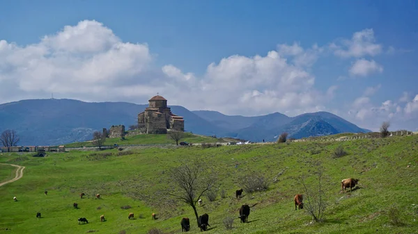 Sebuah Gambar Yang Indah Dari Biara Jvari Tbilisi Georgia — Stok Foto