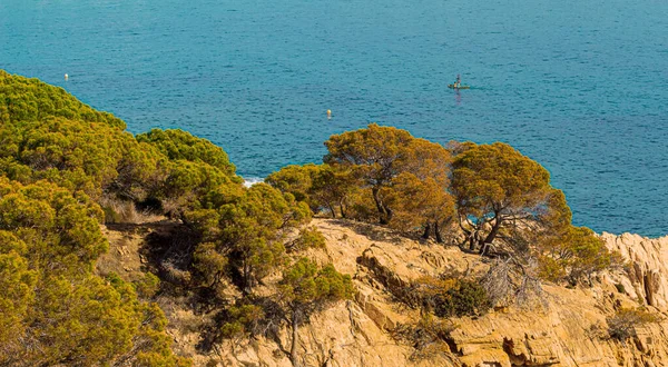 夏を背景に美しい青い海の木々が広がる岬の風景 — ストック写真