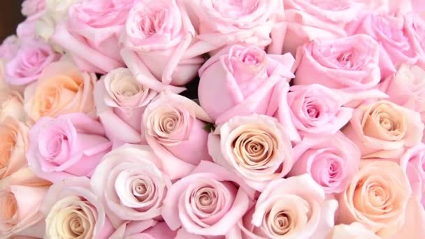 Krásné Růžové Růže Váze Bílém Pozadí — Stock video
