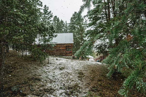 Schöne Szene Eines Landhauses Umgeben Von Tannen Winter — Stockfoto