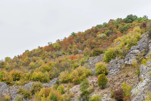 Úžasné Živé Barvy Podzimních Stromů Skalnatém Útesu Kaňonu Řeky Gradasnicky — Stock fotografie