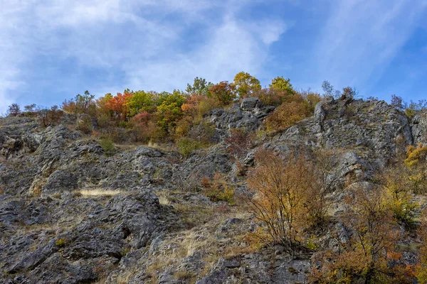 Krásný Výhled Kaňon Barevnými Podzimními Stromy Vrcholu Pod Zataženou Oblohou — Stock fotografie