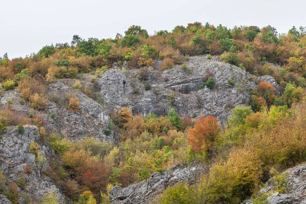 Niesamowite Żywe Kolory Jesiennych Drzew Skalistym Urwisku Kanionie Rzeki Gradasnickiej — Zdjęcie stockowe