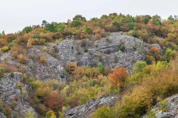 Дивовижні Кольори Осінніх Дерев Скелястій Скелі Каньйоні Річки Градашніца Пірот — стокове фото