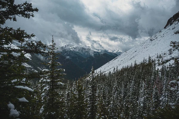 Het Schilderachtige Banff National Park Canada Een Besneeuwde Winterdag — Stockfoto