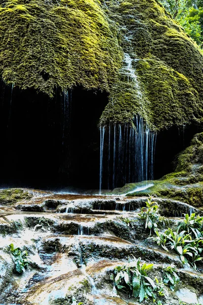 Guarda Chuva Incrível Cai Uma Floresta — Fotografia de Stock