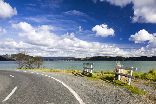 Curvy Road Surrounded Lake Blue Cloudy Sky New Zeala — Stock Photo, Image