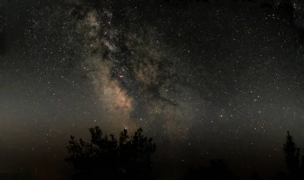 美しい星空と夜の木々のパノラマショット — ストック写真
