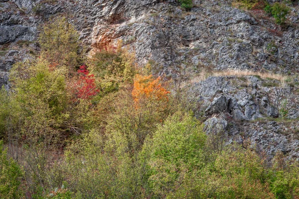Krásný Výhled Kaňon Přes Řeku Gradasnicku Pestrobarevnými Podzimními Stromy Pirotu — Stock fotografie