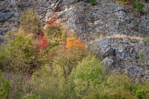 Schöne Aussicht Auf Eine Schlucht Über Den Fluss Gradasnicka Mit — Stockfoto