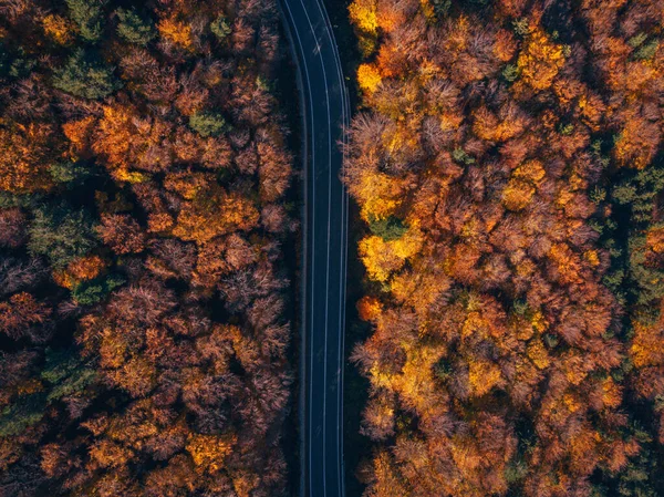 Μια Εναέρια Άποψη Ενός Αυτοκινητόδρομου Μέσα Από Δάσος Φθινόπωρο — Φωτογραφία Αρχείου