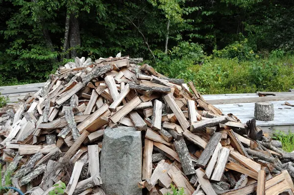 Tiro Perto Uma Pilha Bosques Cortados Perto Floresta — Fotografia de Stock