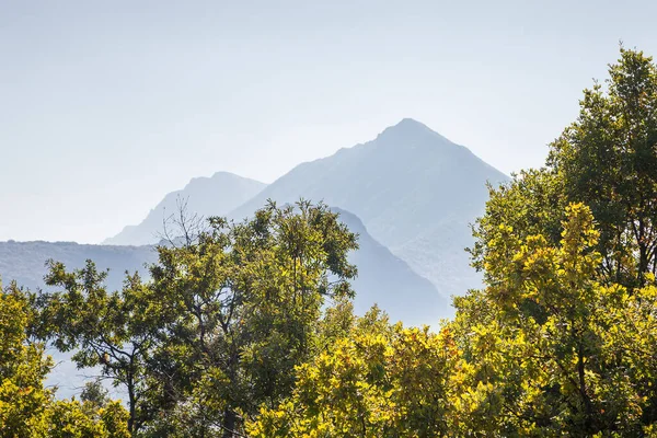 Close Árvores Outono Com Montanha Seca Suva Planina Fundo — Fotografia de Stock